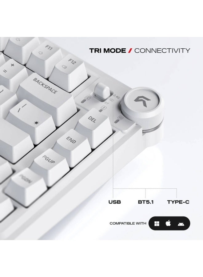 سايبيرت لوحة مفاتيح الألعاب اللاسلكية ثلاثية الأوضاع Cybeart Nighthawk 75 | TKL - أبيض - Image 4